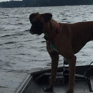 Meet your Posher, Glenn