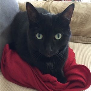 Meet your Posher, Lea