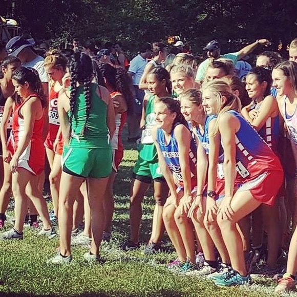 Meet your Posher, Sammy - Picture 1 of 1