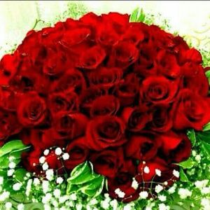 Meet your Posher, Doretha