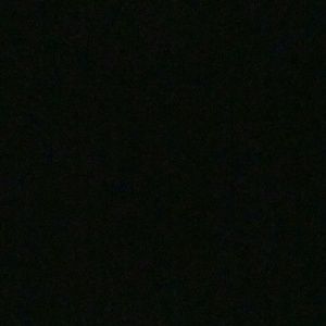 Meet your Posher, Ramona