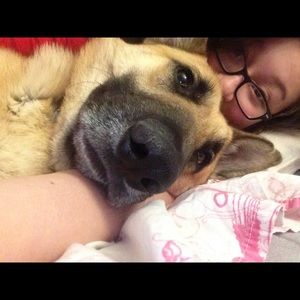 Meet your Posher, Elyssa