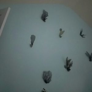 Meet your Posher, Greer