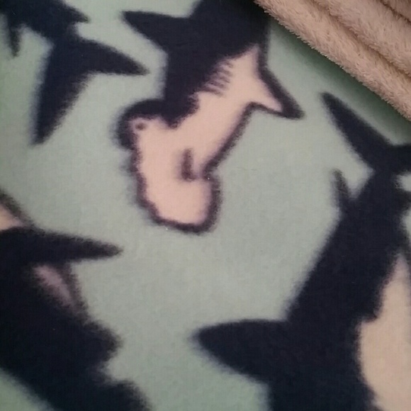 Meet your Posher, Maggie - Picture 1 of 1