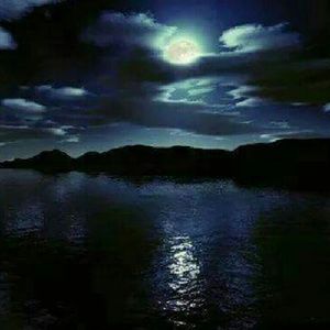 Meet your Posher, Bill