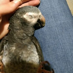 Meet your Posher, Sherri