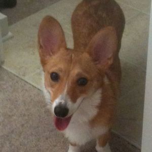 Meet your Posher, Ruby