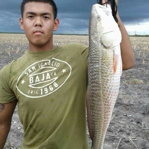 Meet your Posher, Steve