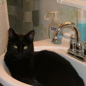 Meet your Posher, Patsy