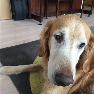 Meet your Posher, Carolyn