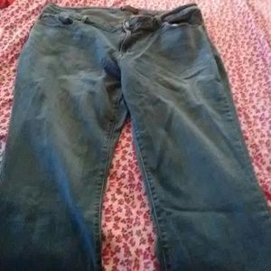 24 petite lee modern series jeans