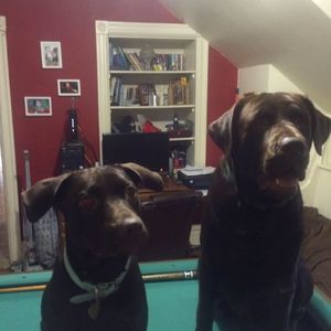 Meet your Posher, Jack