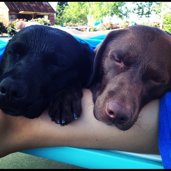 Meet your Posher, Emily