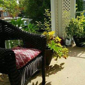 Meet your Posher, Leticia