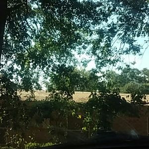 Meet your Posher, Kristina