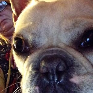 Meet your Posher, Tonya