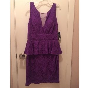 NWT! Hailey by Adrianna Papell Lace Peplum dress