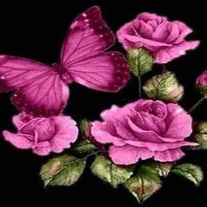 Meet your Posher, Lasheia