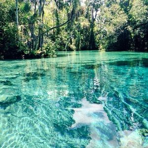 Meet your Posher, Shelly