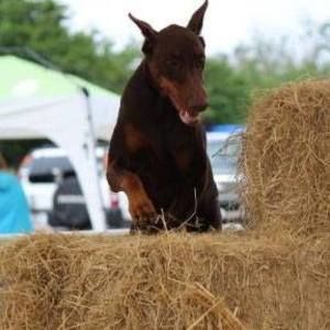 Meet your Posher, Olga