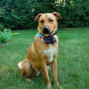 Meet your Posher, Katie