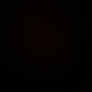 Meet your Posher, Lorri