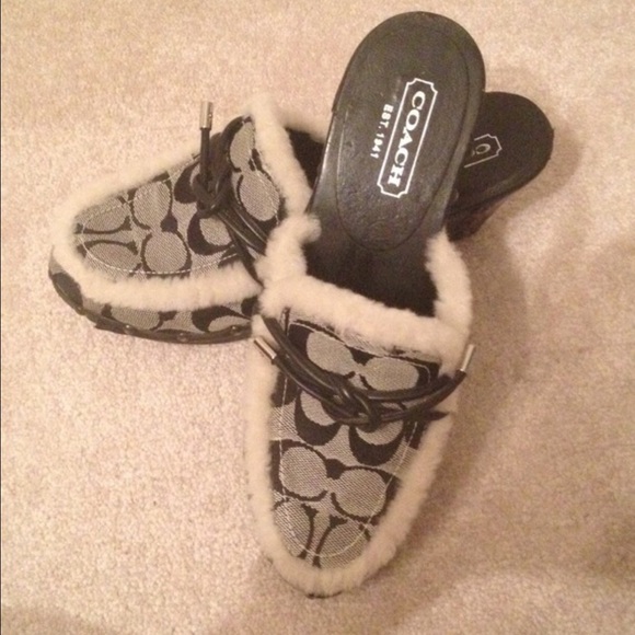 Súper cute coach blue and gray shoes. - Picture 1 of 3
