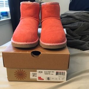 Brand new in box authentic ugg boots
