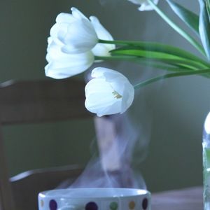 Meet your Posher, Jana