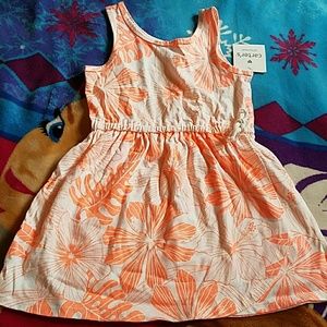 Carter's dress
