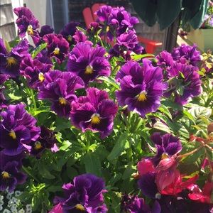 Meet your Posher, Heather