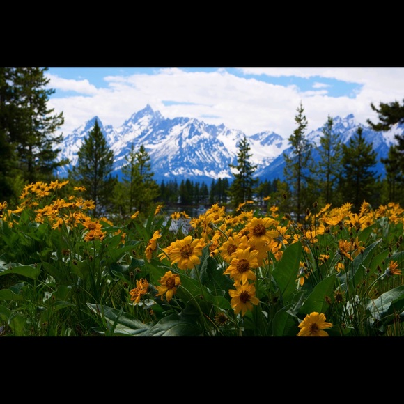 Meet your Posher, Madison