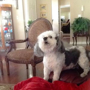 Meet your Posher, Douglas