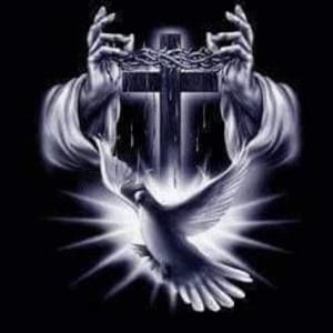 Meet your Posher, Jane