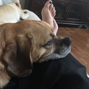 Meet your Posher, Carolyn