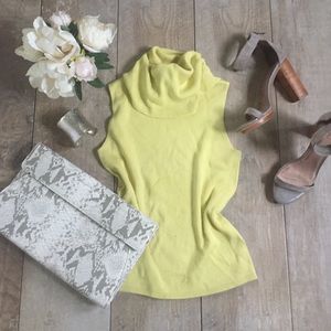 The Limited Turtleneck Knit