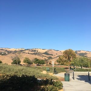 Meet your Posher, Bernardo