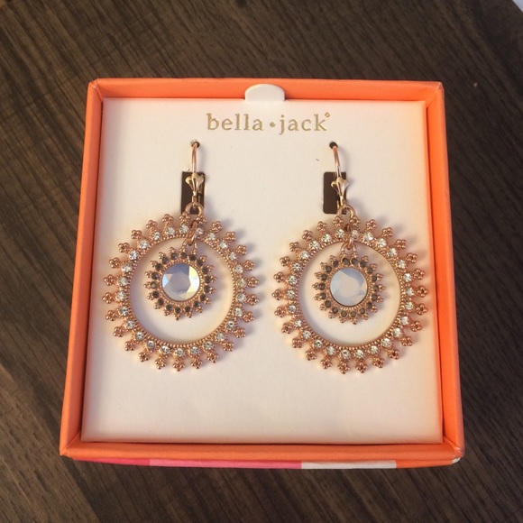 Gorgeous Dangly Hoop Earrings