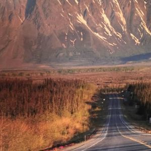 Meet your Posher, Katy