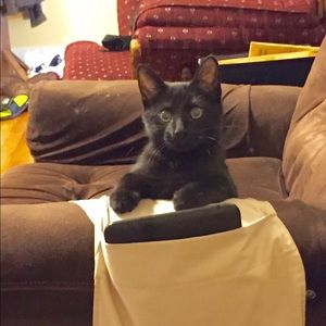 Meet your Posher, Leighann