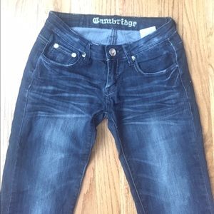 Dark Distressed Stretchy Jeans