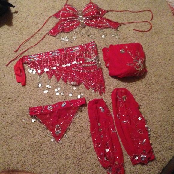 Other - Complete Professional Bellydance costume!