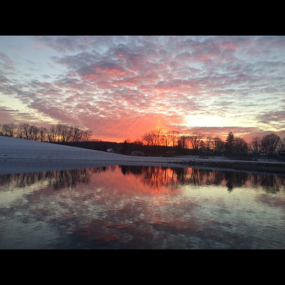 Meet your Posher, Laura - Picture 1 of 1