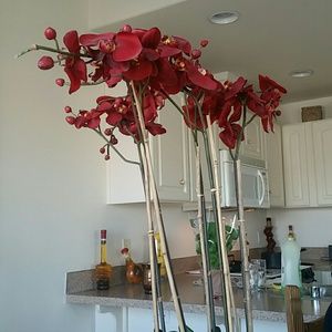 Meet your Posher, Keaira