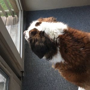 Meet your Posher, Jacob