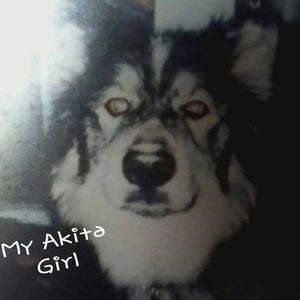 Meet your Posher, Betty