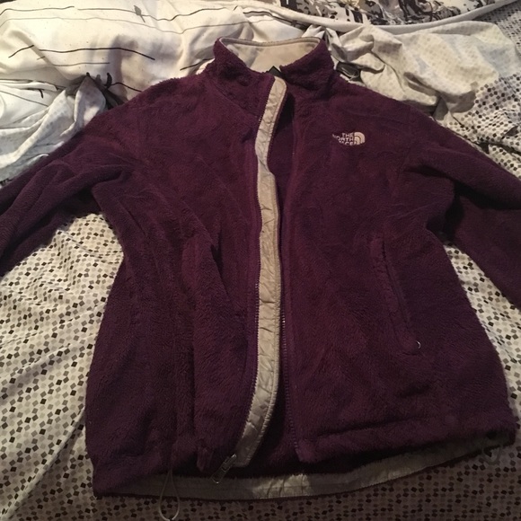 purple northface