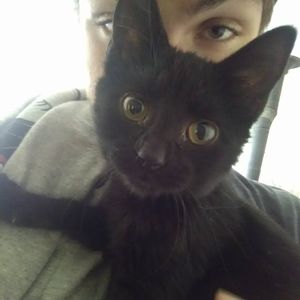 Meet your Posher, Jade