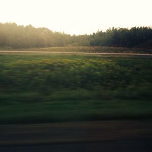 Meet your Posher, Isabella