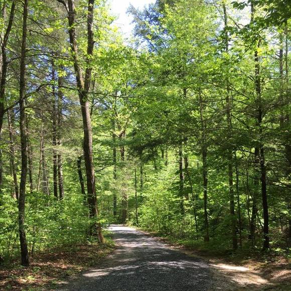 Meet your Posher, Debra - Picture 1 of 1